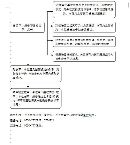 审计监督权运行流程图-2.jpg